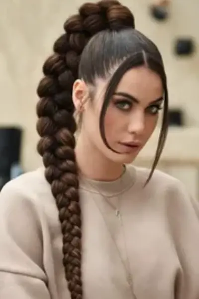 The Braided Ponytail