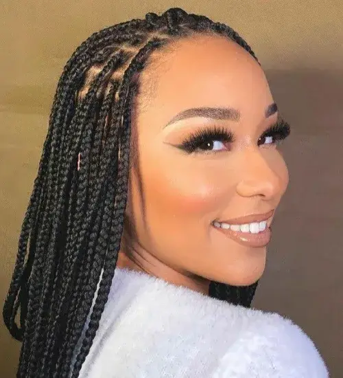Box Braids Hairstyles