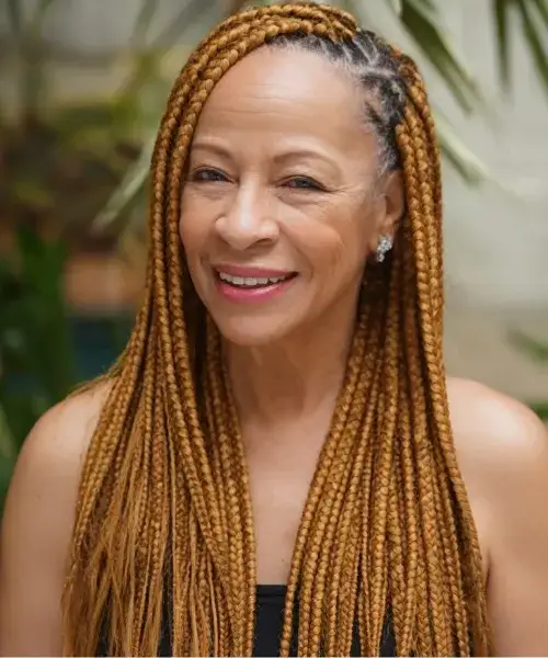 Long Box Locks Braids