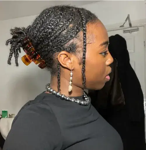 Claw Clip Twist