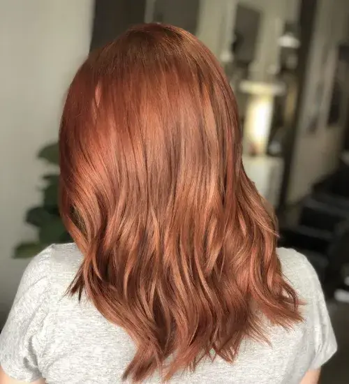 Copper Rose