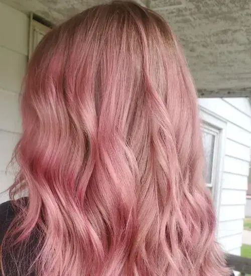 Faded Rose