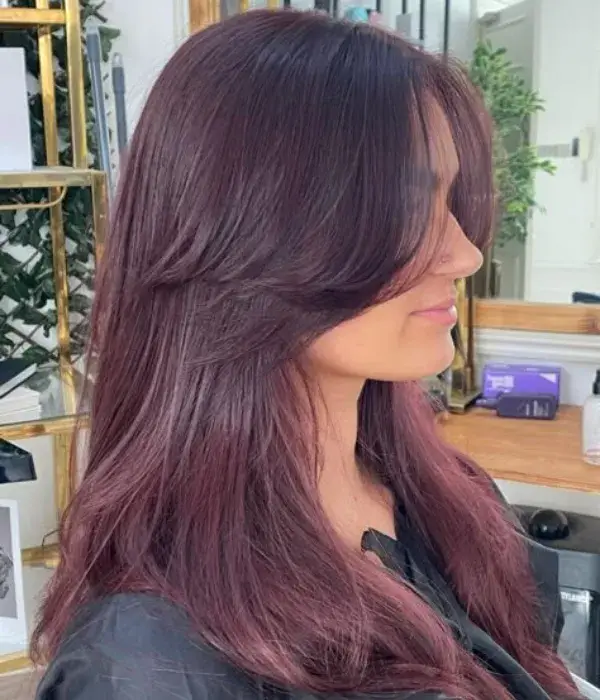 Glossy Plum Hair Tone