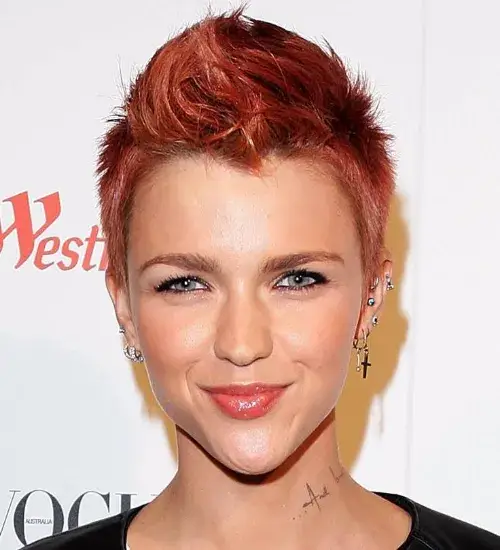 Rose Hawk