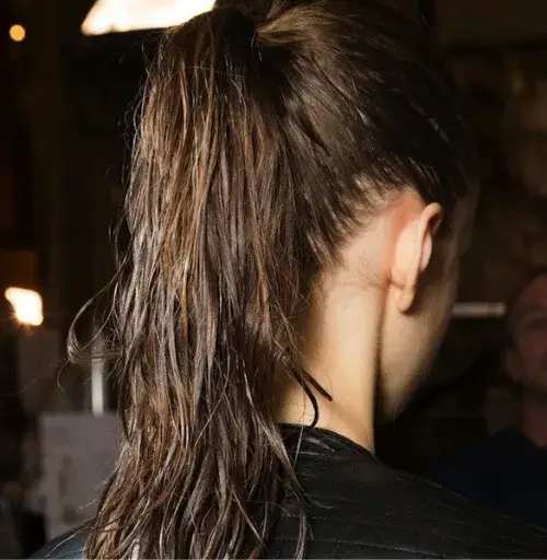 Stylish Wet Look Guide Sleek High Ponytail