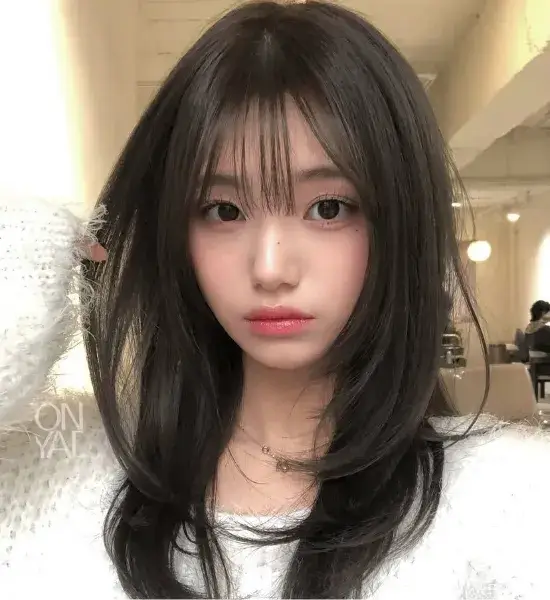 The Hershey Cut Korea's Signature Style